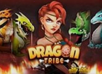 Новый слот Dragon Tribe от провайдера